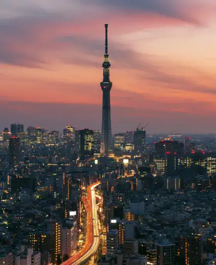 Tokyo Sky Tree view